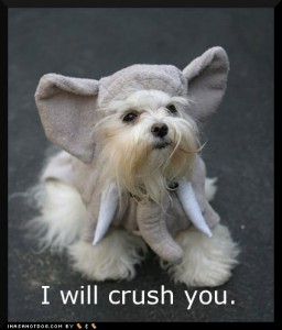 i_will_crush_you_loldog_elephant_ears_pajama_pals_pet_costume